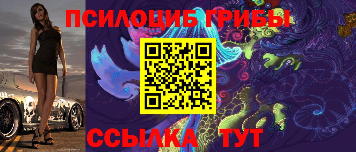 Псилоцибиновые грибы Psilocybe  Вход с VPN  Таганрог 